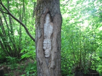 Face at Ferry Island